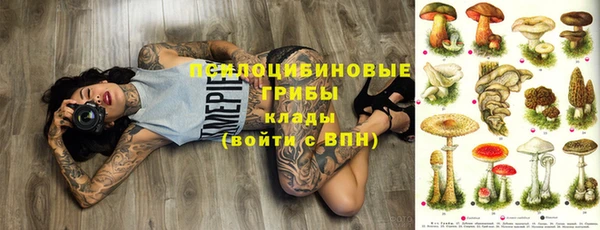 гидропоника Ладушкин