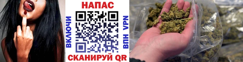 Конопля Bruce Banner  Торопец 